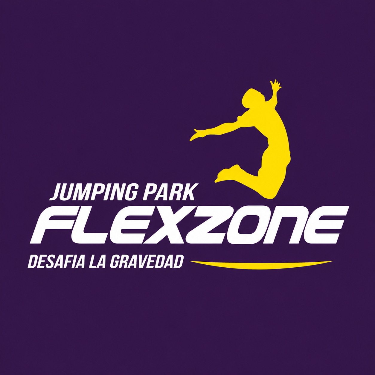 Logo Flexzone Jumping Park